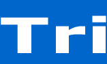 Logo Tri Software Solution